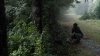 the100305_2287.jpg