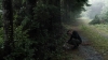 the100305_2291.jpg