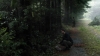 the100305_2294.jpg