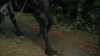 the100305_2327.jpg
