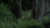 the100305_2336.jpg