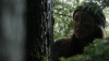 the100305_2341.jpg