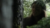 the100305_2353.jpg