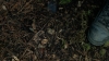 the100305_2359.jpg
