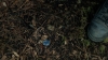 the100305_2360.jpg