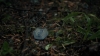 the100305_2369.jpg