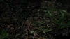the100305_2371.jpg