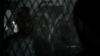 the100305_2415.jpg