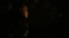 the100305_2490.jpg