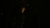 the100305_2494.jpg