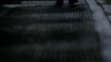 the100305_2675.jpg