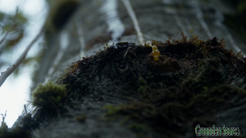 The 100 Season Three Episode Six Bitter Harvest Captures-2516
