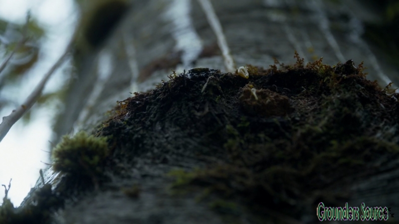 The 100 Season Three Episode Six Bitter Harvest Captures-2515
