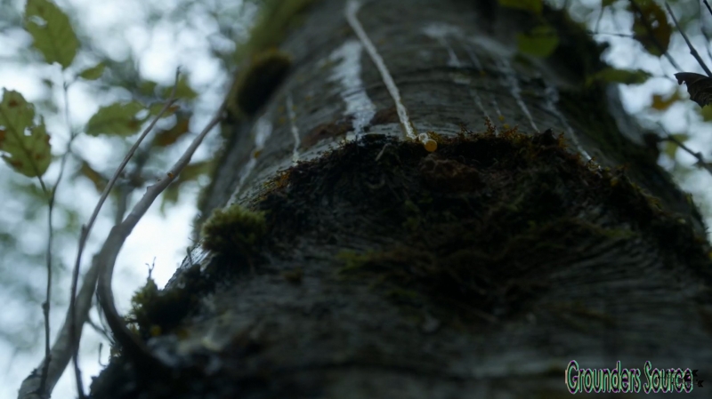 The 100 Season Three Episode Six Bitter Harvest Captures-2511
