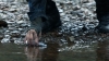 the100306_0177.jpg