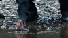 the100306_0178.jpg