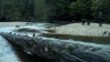 the100306_0183.jpg