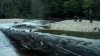 the100306_0184.jpg