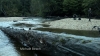 the100306_0186.jpg
