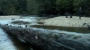 the100306_0187.jpg