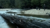 the100306_0188.jpg