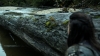the100306_0214.jpg