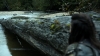 the100306_0215.jpg