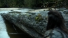the100306_0217.jpg