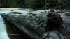 the100306_0219.jpg