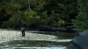 the100306_0229.jpg