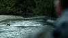 the100306_0253.jpg
