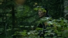 the100306_0292.jpg
