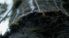 the100306_0293.jpg
