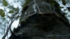 the100306_0298.jpg