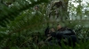 the100306_0300.jpg