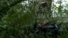 the100306_0310.jpg