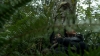 the100306_0311.jpg