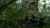 the100306_0312.jpg