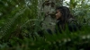 the100306_0316.jpg