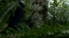 the100306_0342.jpg