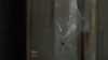 the100306_1769.jpg