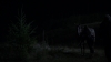 the100306_2218.jpg