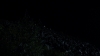 the100306_2224.jpg