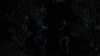 the100306_2243.jpg