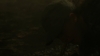 the100306_2263.jpg