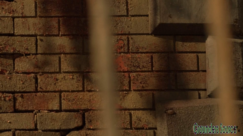 The 100 Season Three Episode Thirteen Captures-434
