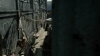 the100307_0006.jpg