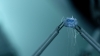 the100307_0150.jpg