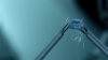 the100307_0151.jpg