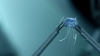 the100307_0152.jpg